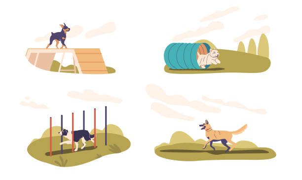 a women giving training to her pet dog